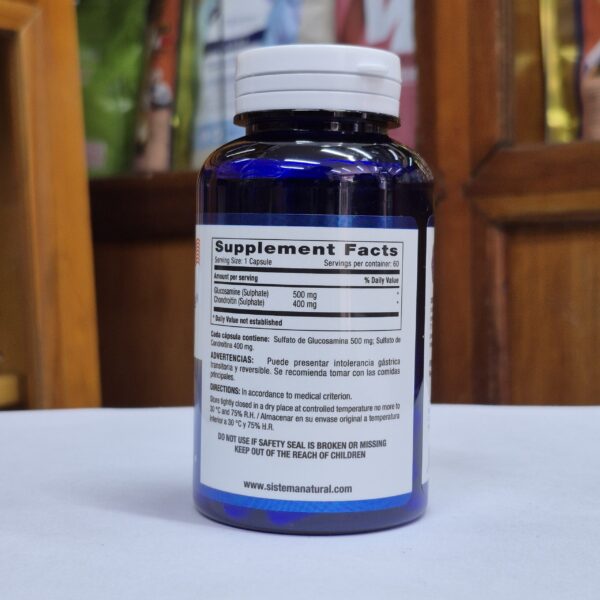 glucosamine & chondroitin x60