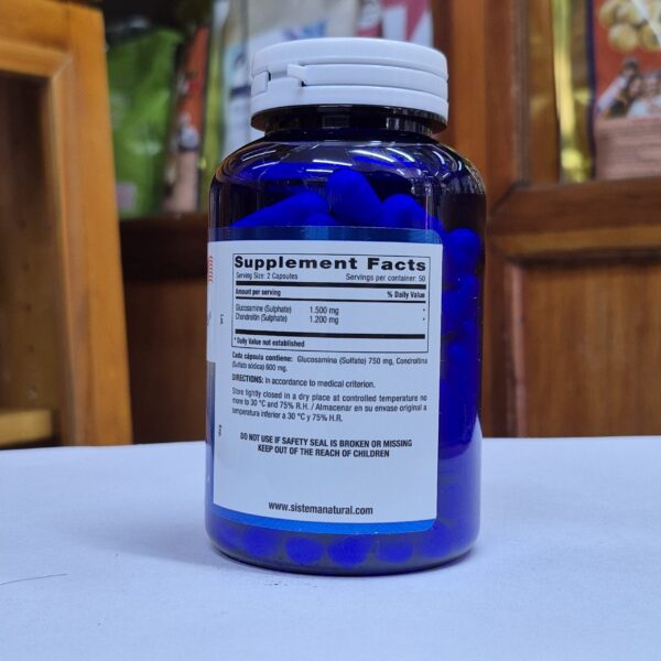 glucosamine & chondroitin x100