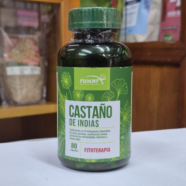 castaño de indias